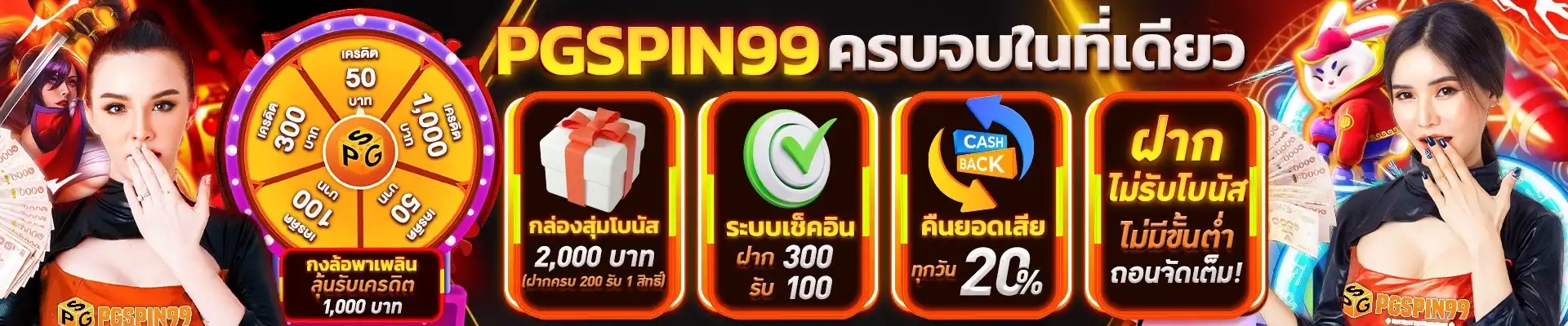 pgspin99